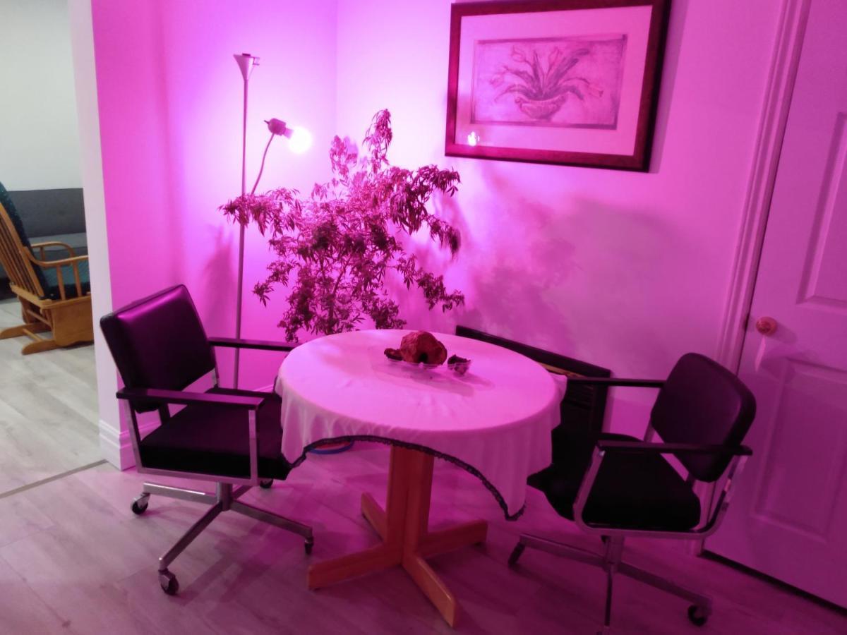 Healing Touch Holistic Living Space Amherst Exterior photo